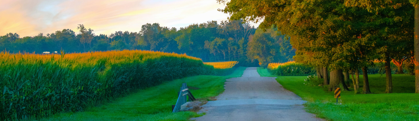 landscape of a field of crops and a long rural road